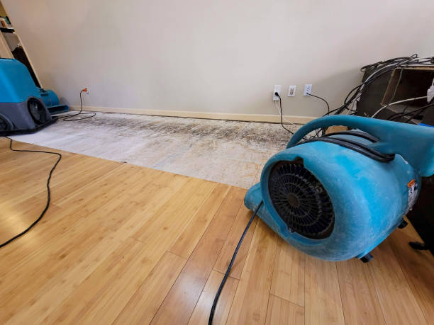 Professional Burst Pipe Water Damage technician working in New Lisbon, NJ
